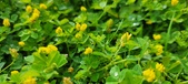 Enlarge photo 291