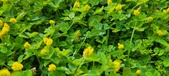 Enlarge photo 290