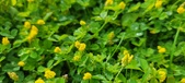 Enlarge photo 289
