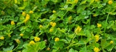 Enlarge photo 288