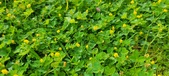 Enlarge photo 287
