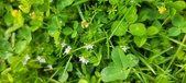 Enlarge photo 285