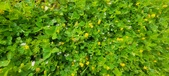 Enlarge photo 283