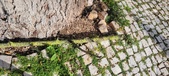 Enlarge photo 282