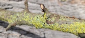 Enlarge photo 281