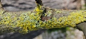 Enlarge photo 278