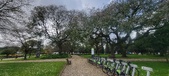 Enlarge photo 270