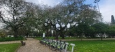 Enlarge photo 269