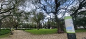 Enlarge photo 268