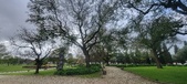 Enlarge photo 266