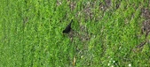 Enlarge photo 234