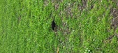 Enlarge photo 233