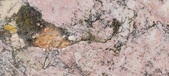 Enlarge photo 186