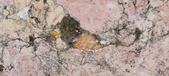Enlarge photo 183
