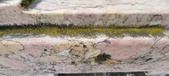 Enlarge photo 179