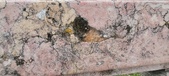 Enlarge photo 177