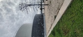 Enlarge photo 101