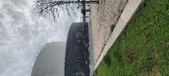 Enlarge photo 99