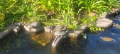 Enlarge photo 380
