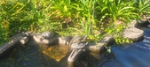 Enlarge photo 381