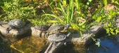 Enlarge photo 382