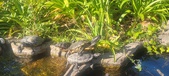 Enlarge photo 384