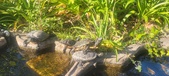 Enlarge photo 378