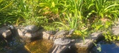Enlarge photo 377