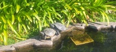 Enlarge photo 368