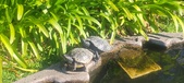Enlarge photo 370