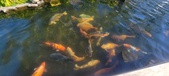 Enlarge photo 358