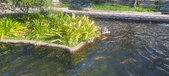 Enlarge photo 357