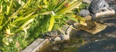 Enlarge photo 356