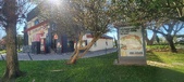 Enlarge photo 351