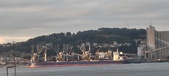 Enlarge photo 231