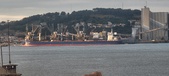 Enlarge photo 248