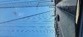 Enlarge photo 62