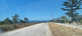 Enlarge photo 79