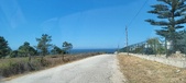 Enlarge photo 80