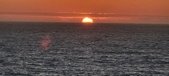Enlarge photo 115