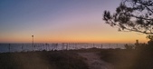 Enlarge photo 137