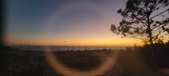 Enlarge photo 139