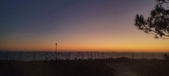 Enlarge photo 142