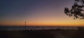 Enlarge photo 143