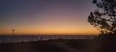 Enlarge photo 145