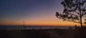 Enlarge photo 147