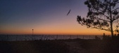 Enlarge photo 148