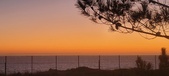 Enlarge photo 151