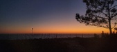 Enlarge photo 154