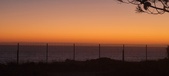 Enlarge photo 155